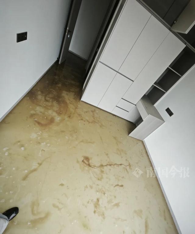 崩溃：全屋都是无法接受婚房被粪水浸泡！业主(图2)