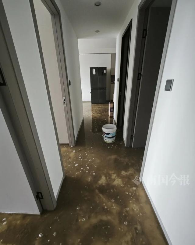 崩溃：全屋都是无法接受婚房被粪水浸泡！业主(图7)